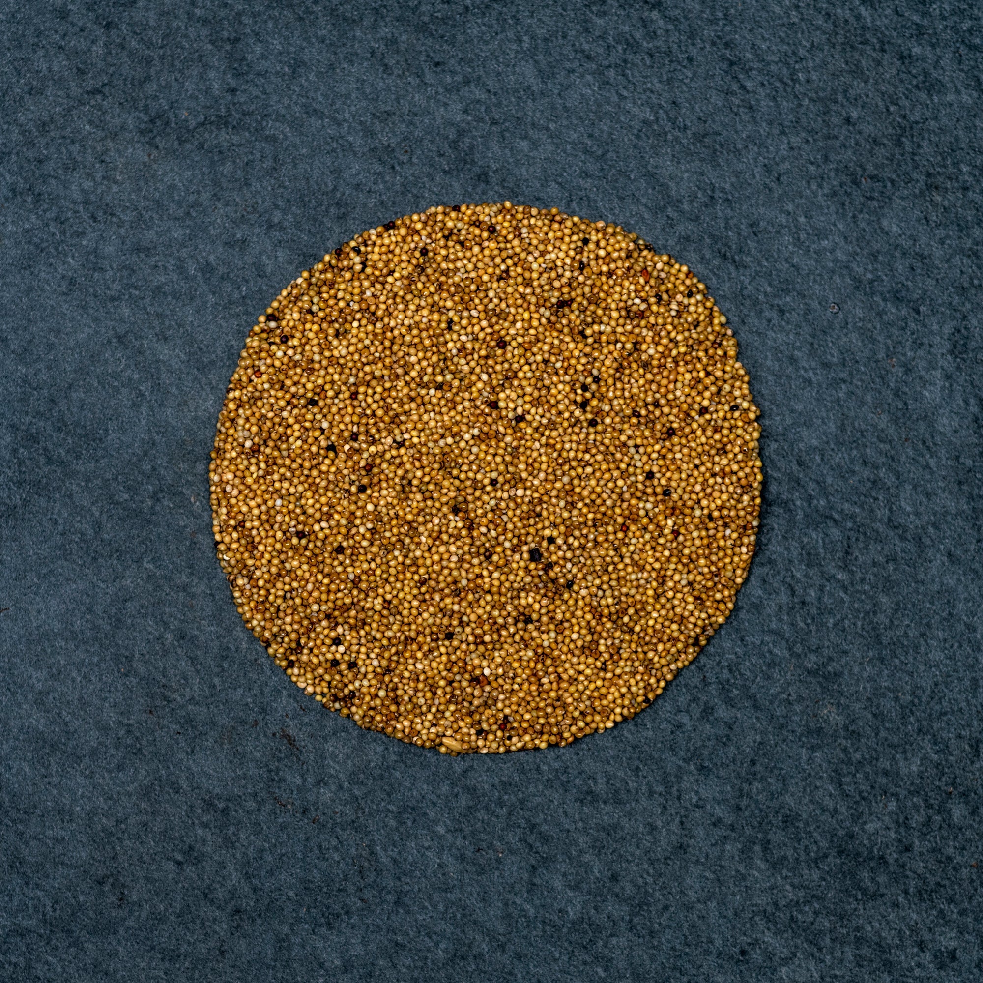Sterile Grains