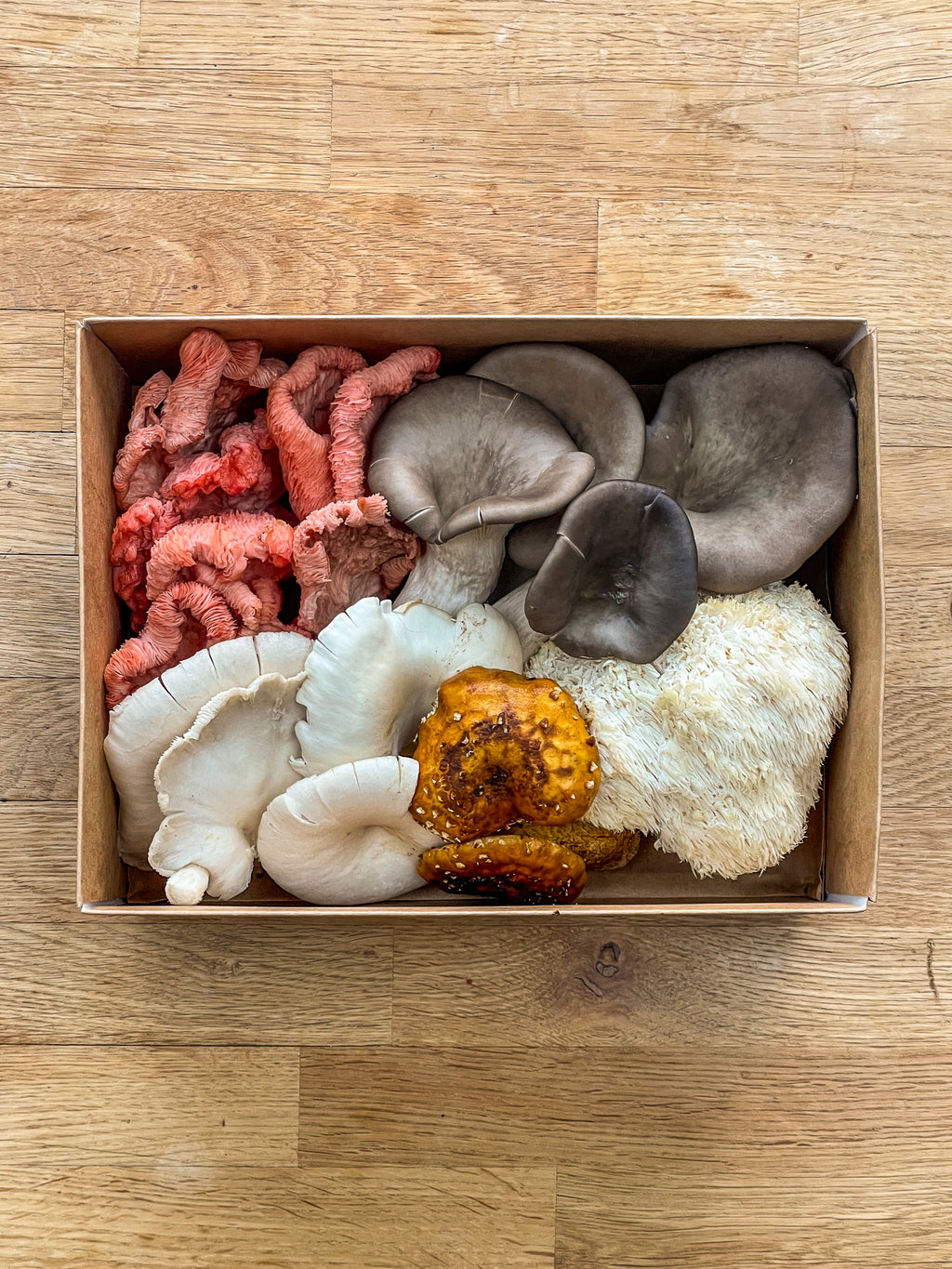 Fresh Mushroom Box