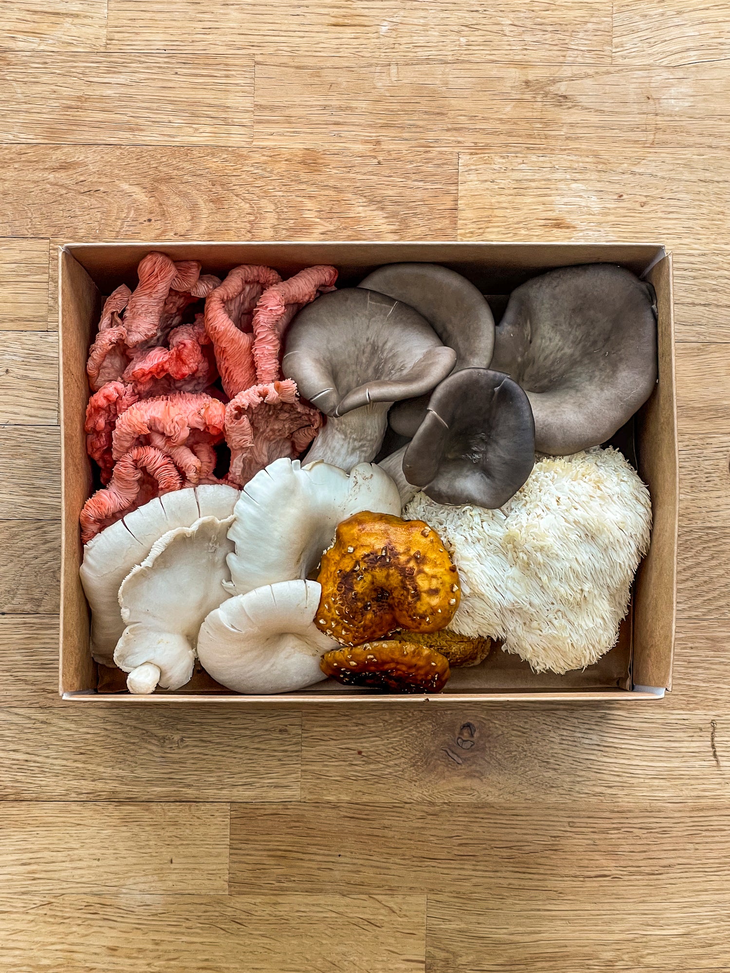 Fresh Mushroom Box