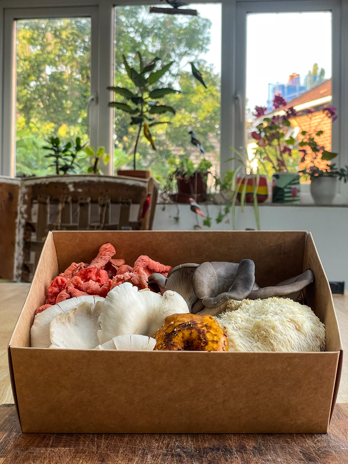 Fresh Mushroom Box