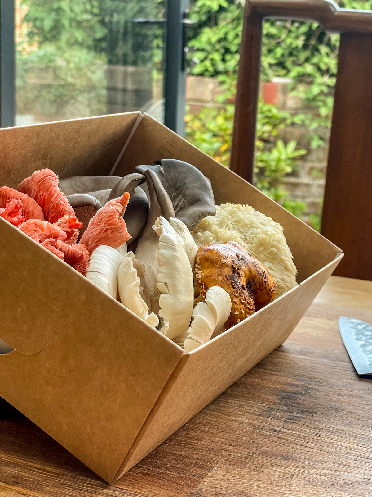 Fresh Mushroom Box