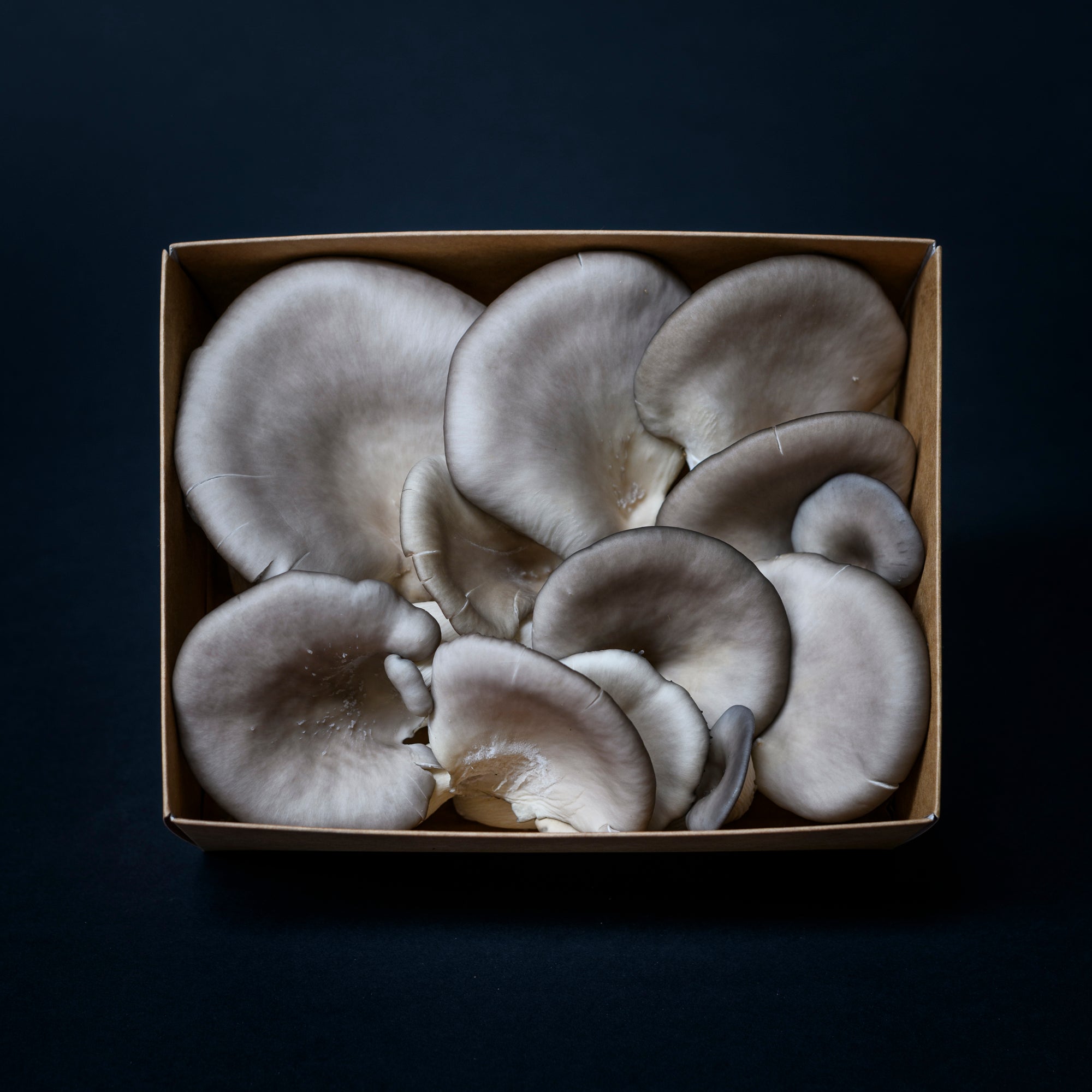 Fresh Mushroom Box