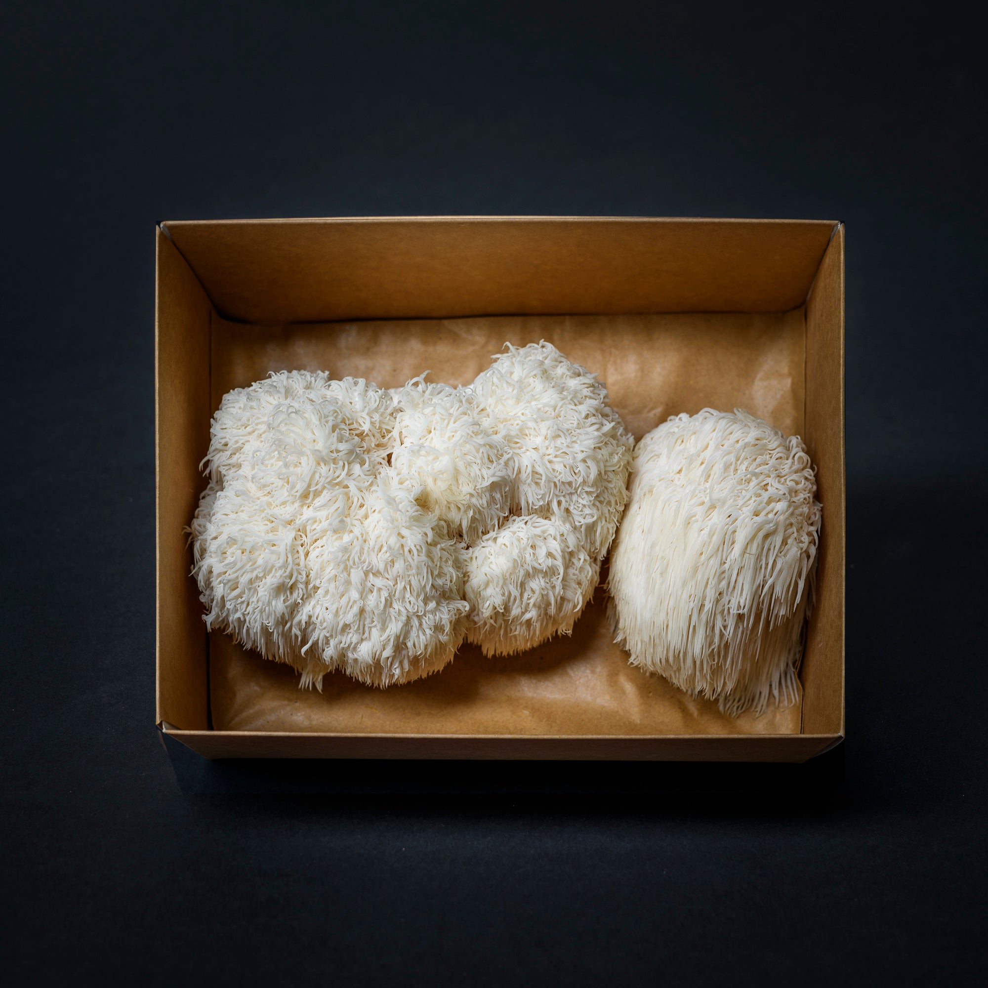 Fresh Mushroom Box