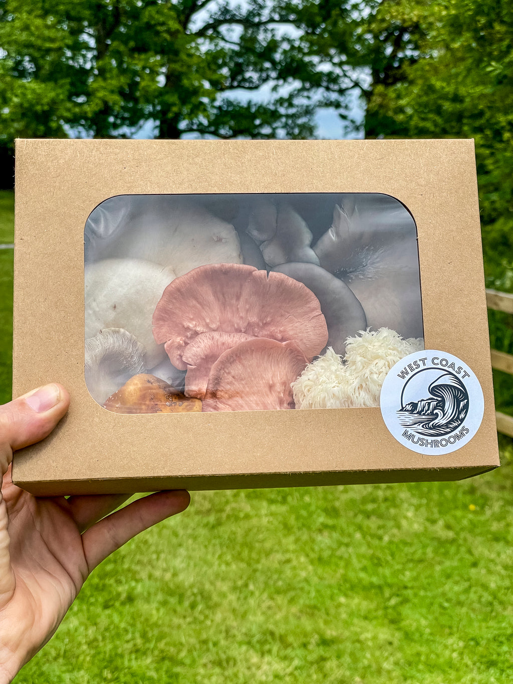 Fresh Mushroom Box