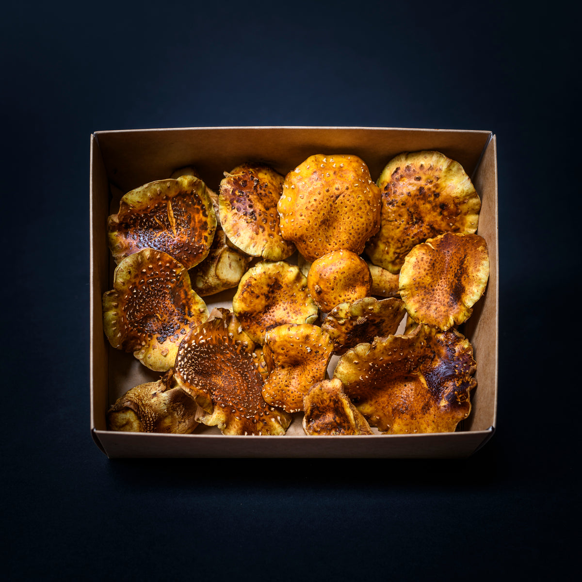 Fresh Mushroom Box