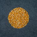 Popcorn Grains