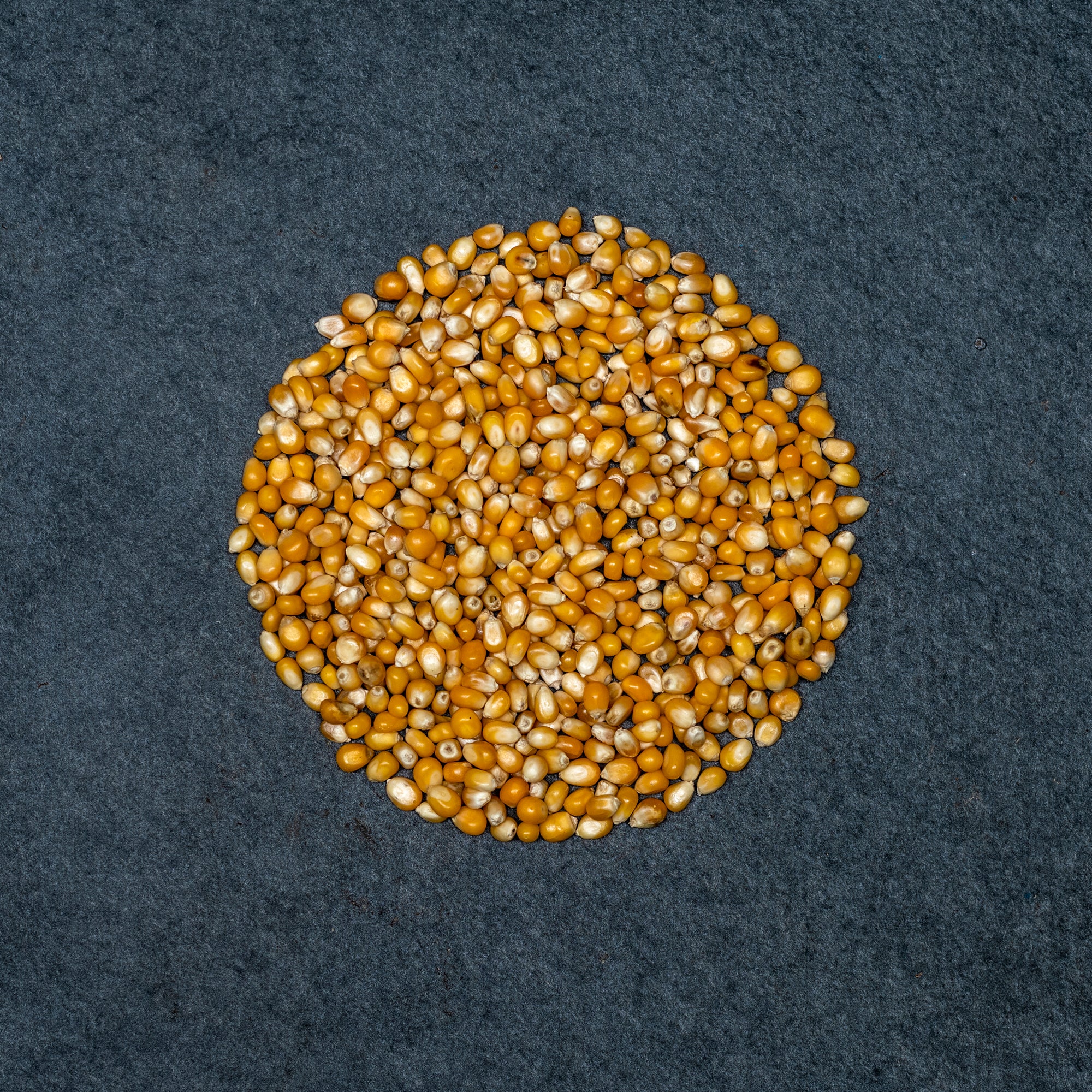 Popcorn Grains