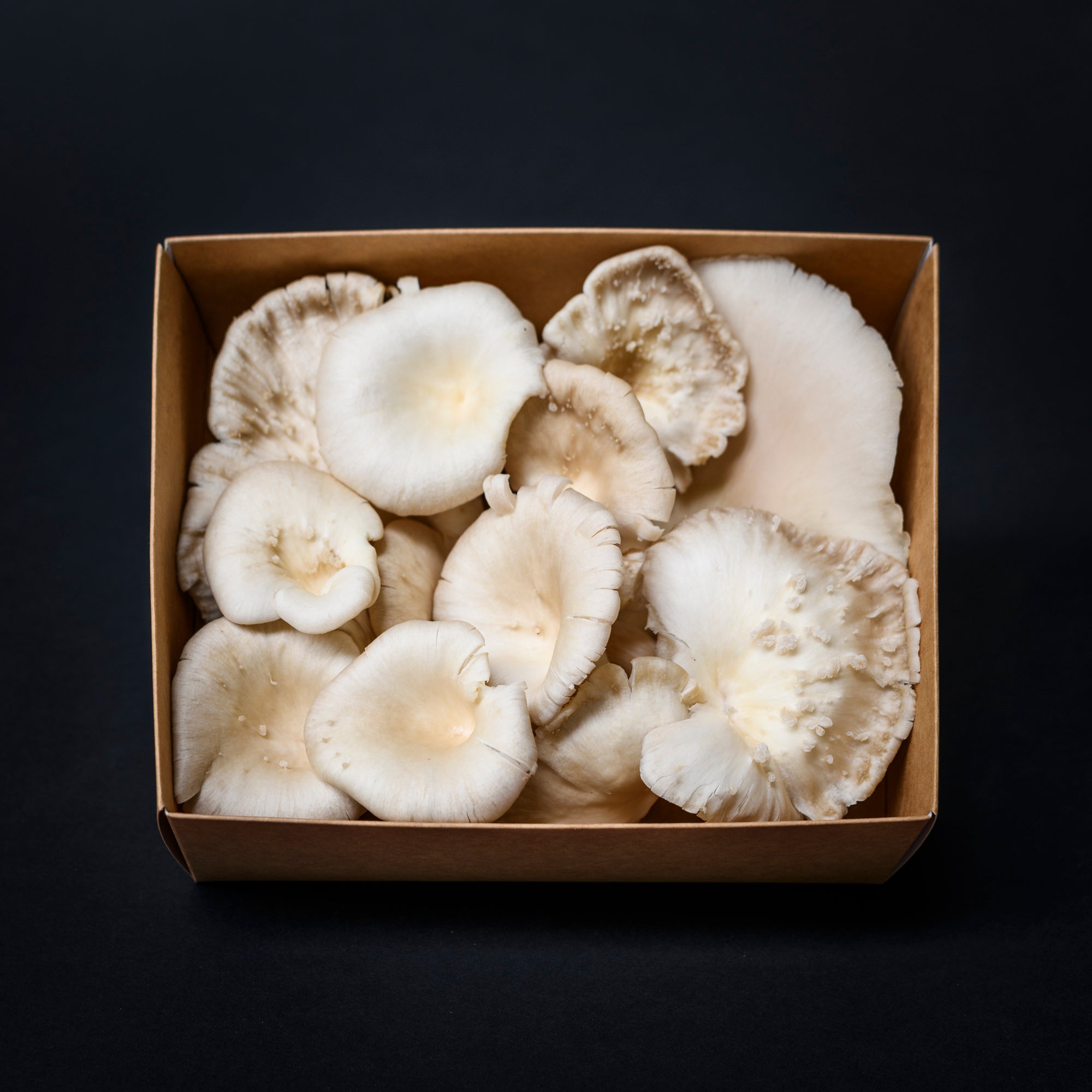 Fresh Mushroom Box